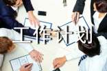 工作计划