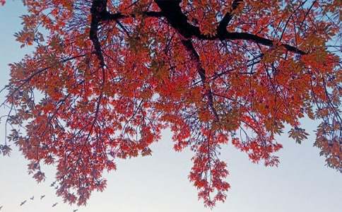 ���յ���������