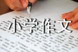 表扬小学作文