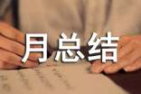 转正个人月总结
