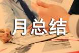 业务员月总结范文