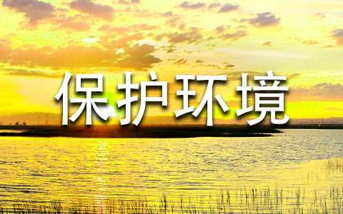 ��ѡ���鱣�������Ľ����鷶�Ļ��8ƪ