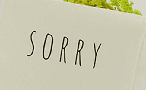 ���ر�����Ů���ѵ�Ǹ������