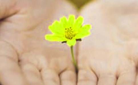 �����ŵ�Ǹ�ļ����飨���ϣ�