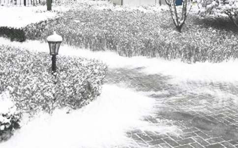 冬季整训工作方案(通用10篇)