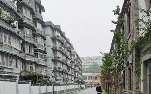 �����¹����ܽ�