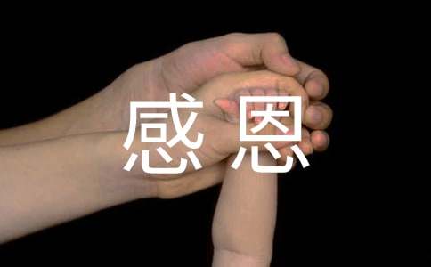 以感恩为主题的活动策划方案