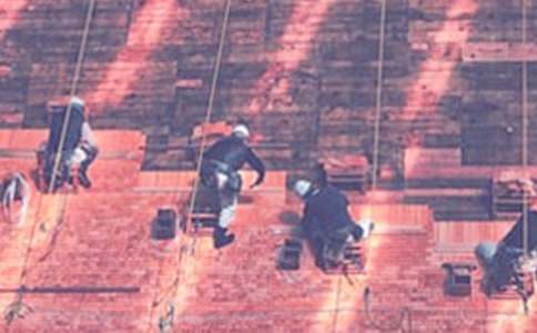 ȥ����ʵϰ����ģ�弯��10ƪ