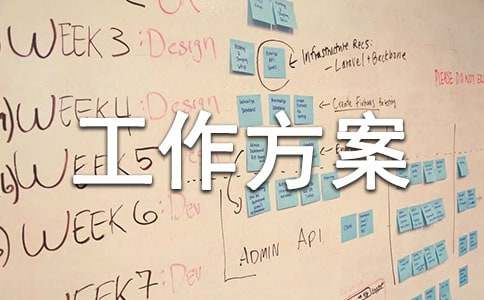 2023年实用的工作方案