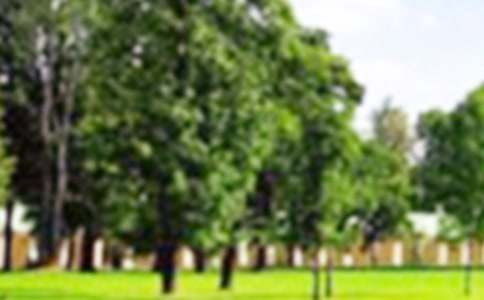 地质公园实习报告