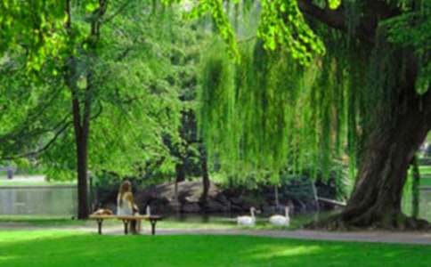 世纪公园实习报告