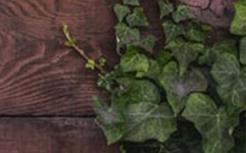 ����г������Ӱչ�߻���