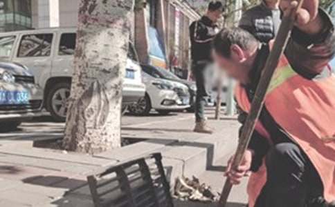 区环卫工作总结