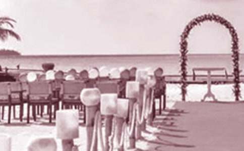 婚礼策划方案精华15篇