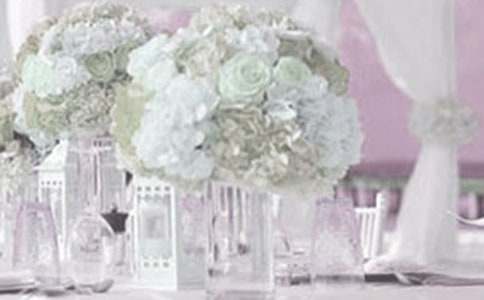 �������뺯15ƪ