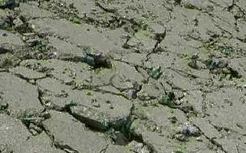 混凝土罐车租赁合同范本