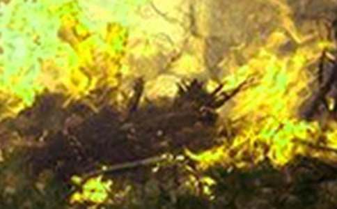 �ļ����ַ��ع����ܽ�