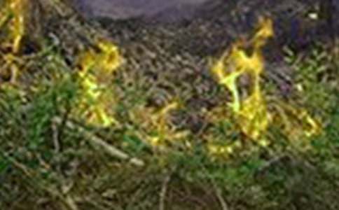 物业冬春火灾防控工作方案(精选14篇)