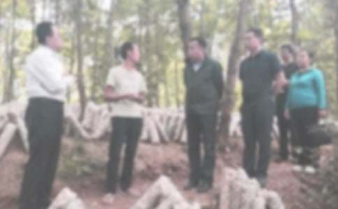 �ͼ첿�����ܽ�