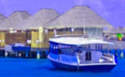 ����ʵϰ��������