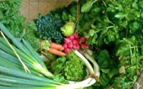 Сѧһ�꼶�����뽡�������ܽᣨͨ��16ƪ��