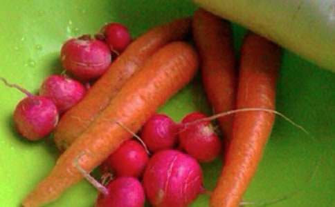 ���������ƻ����Ļ���ʮƪ