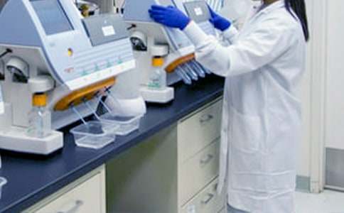 ����������鳤�����ܽ�