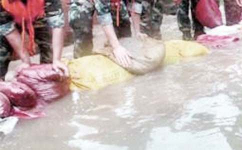 防汛抗洪工作总结集锦15篇