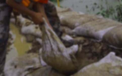 抗洪救灾工作总结(8篇)