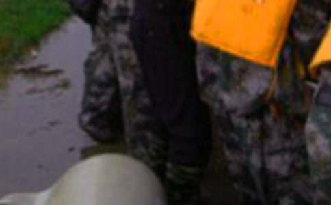 ������ֹ����ܽἯ��12ƪ