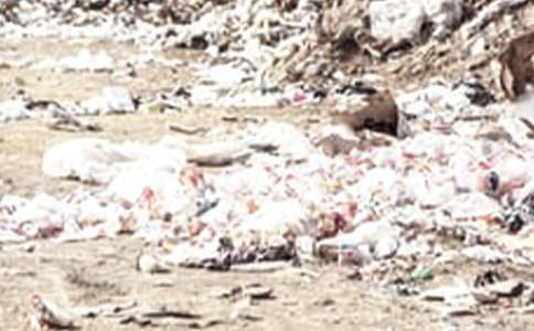 垃圾清理合同13篇