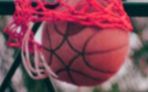 �������ܽ�