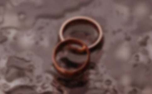 �����Ȩί����15ƪ�����ϡ�