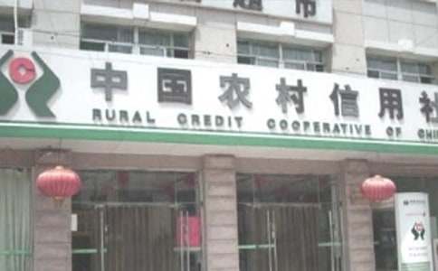 农村信用社的实习报告合集五篇