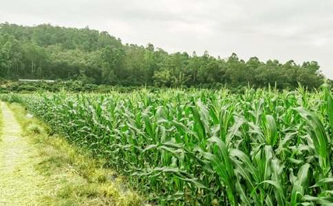 农家乐项目建议书