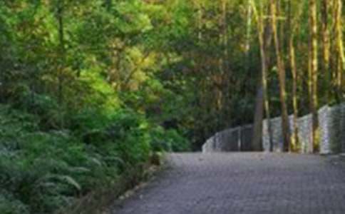 爬山活动策划书