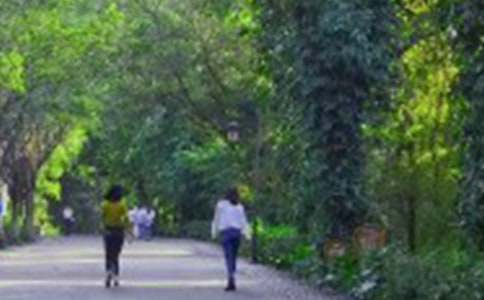 ���ȣ���ɽ��߻���