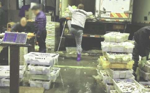 批发合同范文集合20篇