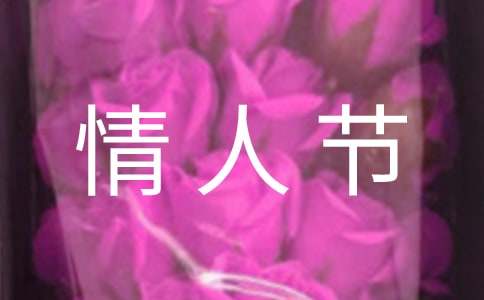 情人节活动主题策划方案【集锦15篇】