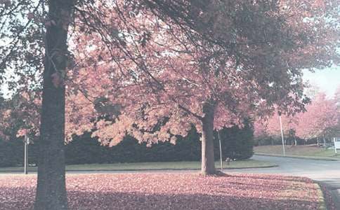 小班秋季工作总结