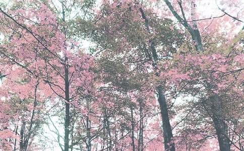 精选小班秋季工作计划三篇