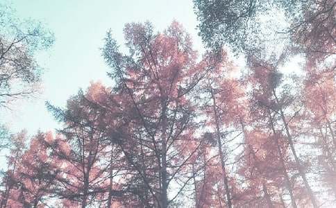 秋季中班工作计划(通用15篇)