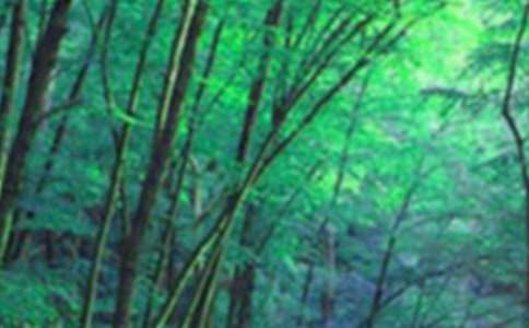 ɭ�ַ���ĳ�ŵ��15ƪ