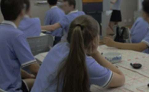 ѧ���Ͽγٵ������飨��Ʒ��