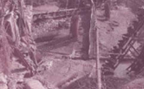 石油实习报告汇编8篇