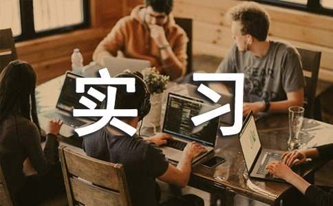 ����ʵϰ�����ܽ᡾�š�