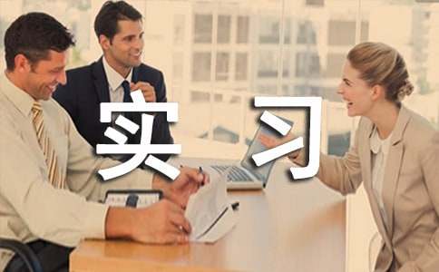 实习小组工作总结(集合15篇)