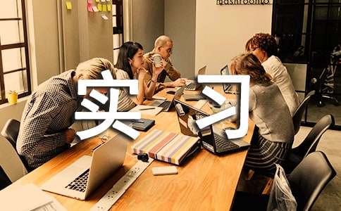 2023�����רҵʵϰ�����ܽ�11ƪ