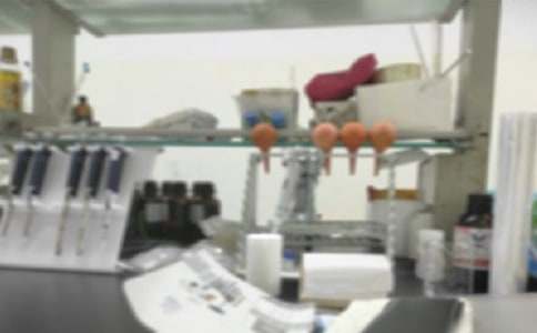 关于实验室工作总结 4篇