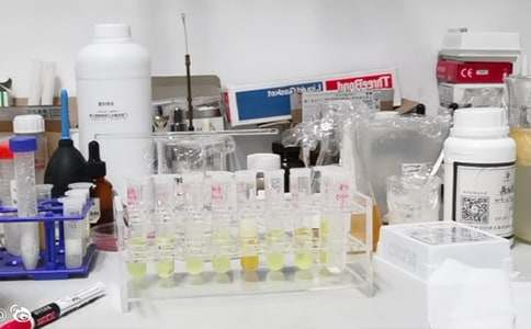 ������Сѧʵ���ҹ����ܽ�